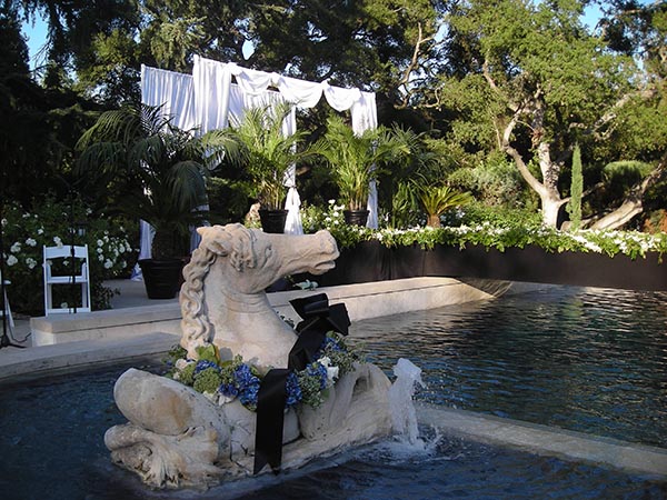pool wedding resized